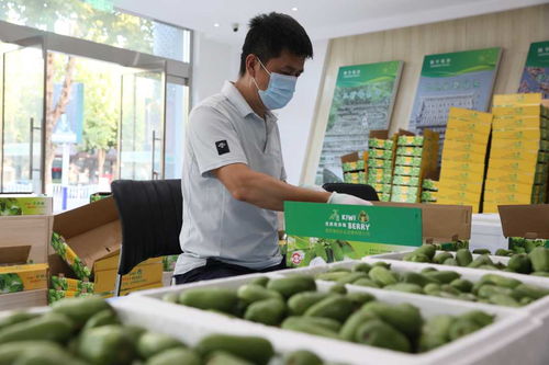 河北順平 電商助農產品打開“云”銷路