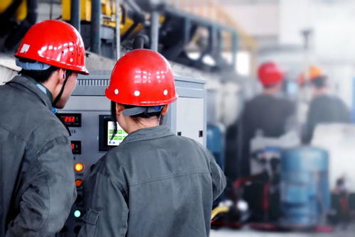 探索釀酒工程 高考志愿中不可忽視的專業(yè)選擇